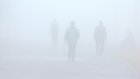 Прогуливающимся пензенцам понравился утренний туман
