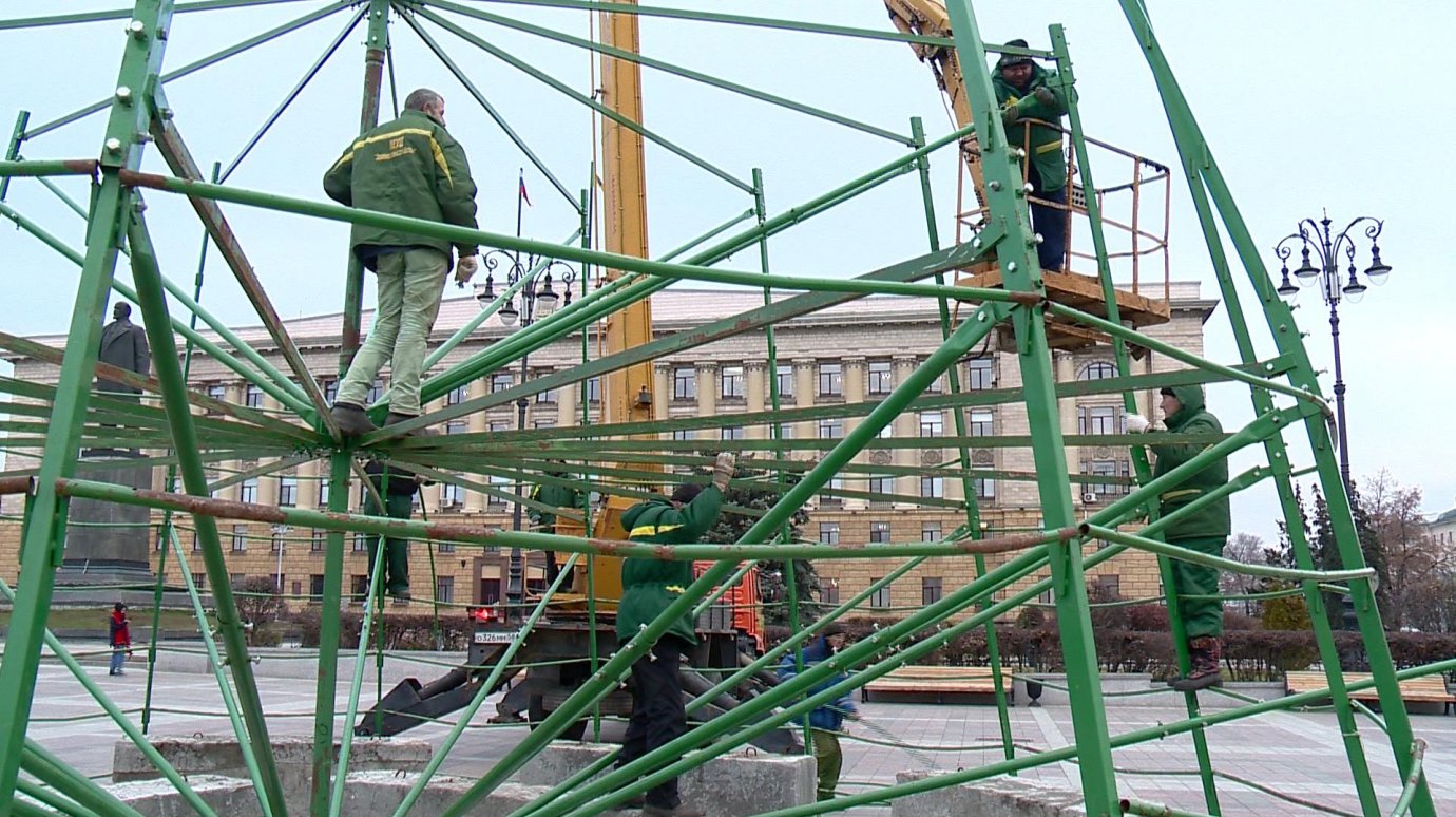 Назван срок установки елки на площади Ленина