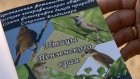 Пензенский фотограф издал альбом о птицах, живущих в регионе