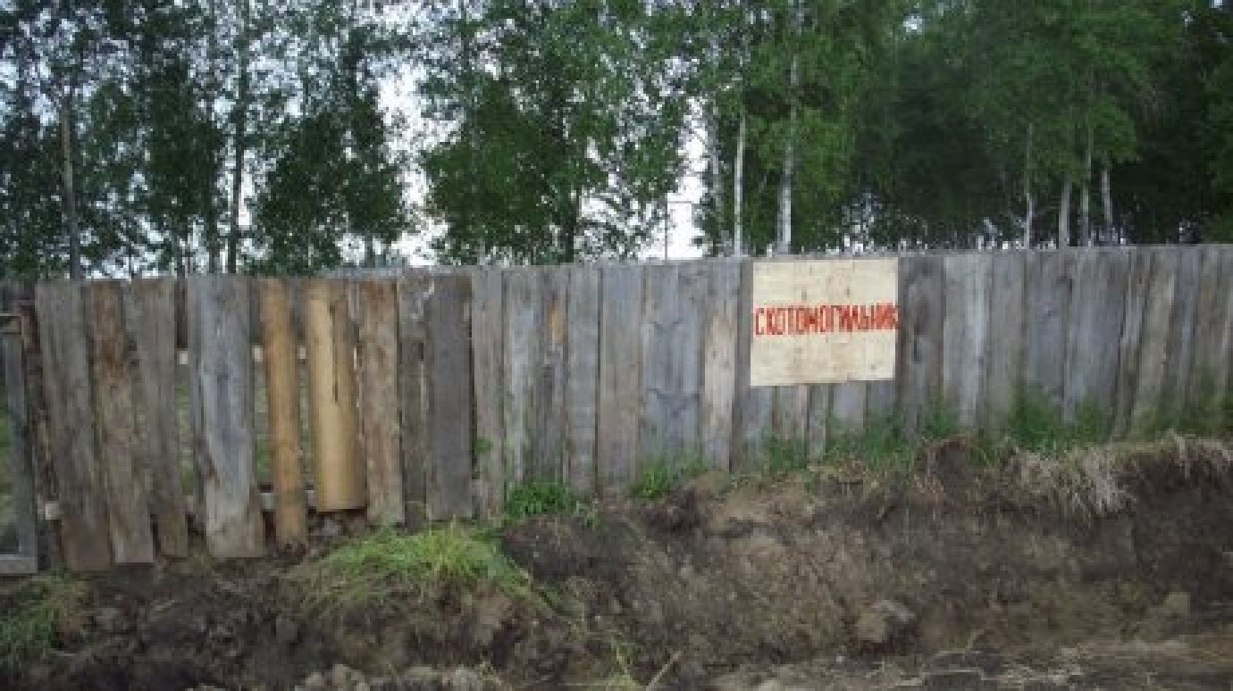 В Кузнецком районе на двух скотомогильниках нашли нарушения