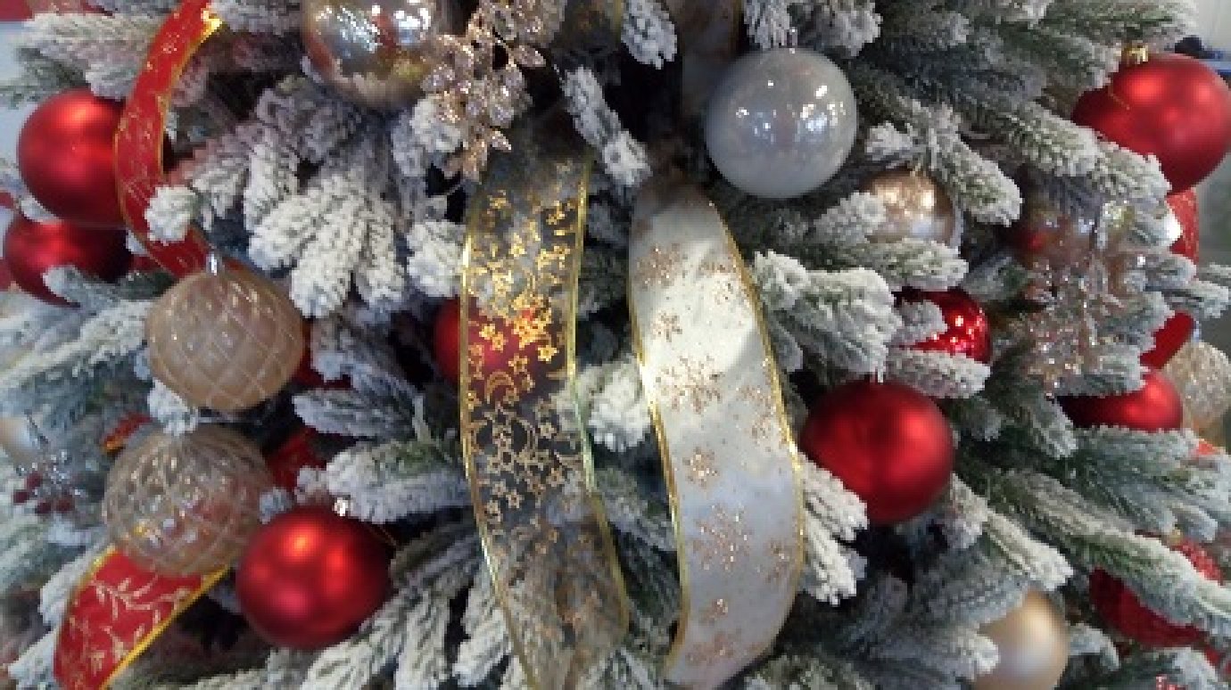 Пензенские елки порадуют в Новый год жителей Пятигорска