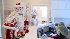 В Пензе Деды Морозы и Снегурочка стали донорами костного мозга