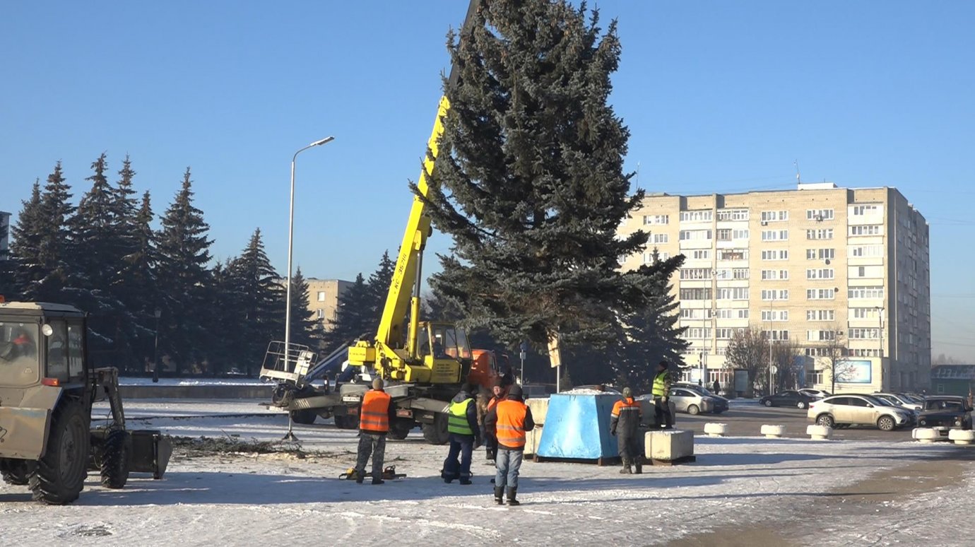 Главная елка Кузнецка засияет ярче, чем в прошлые годы