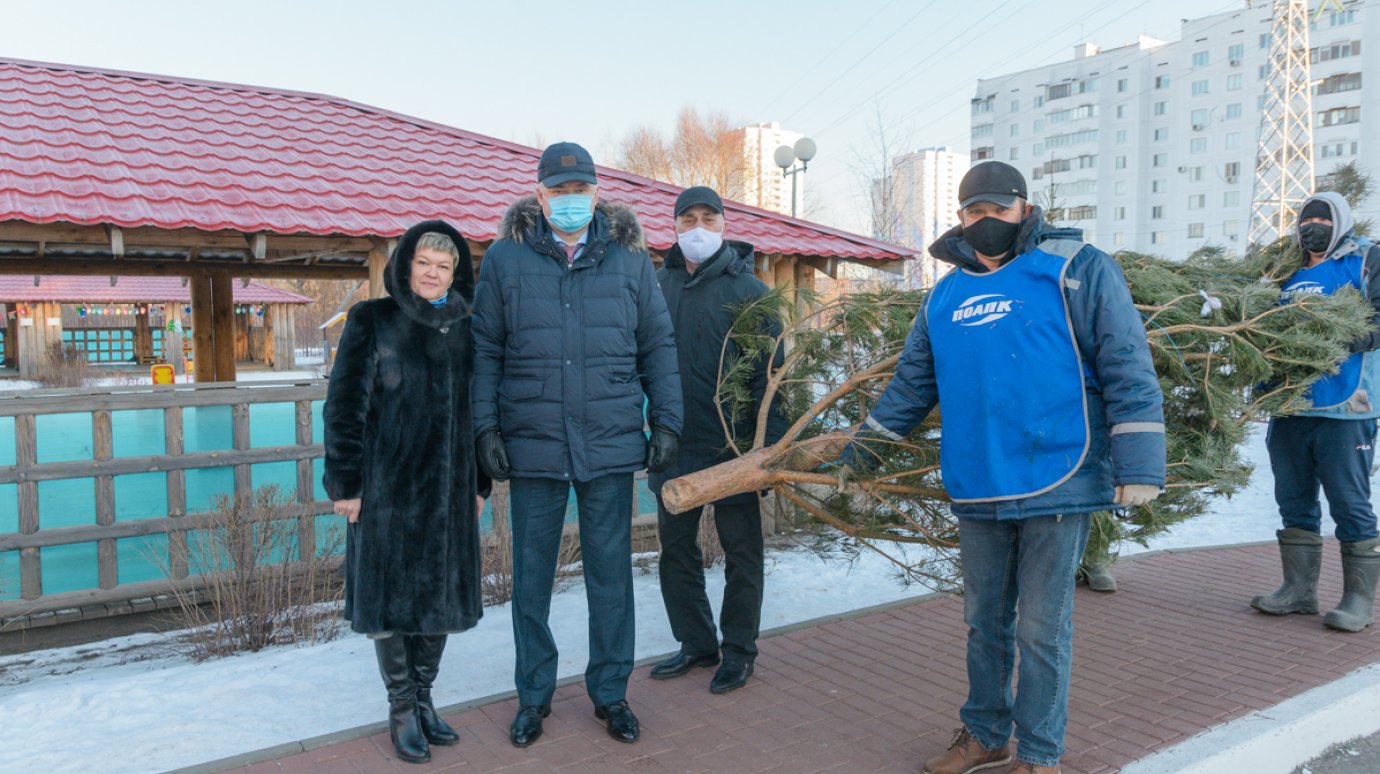 Вадим Супиков организовал доставку елок в детские учреждения