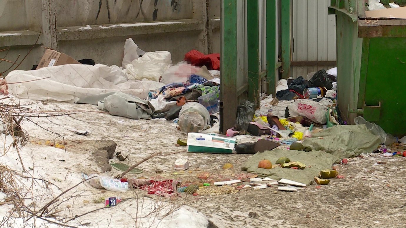 На улице Ладожской разбросанные отходы не убирают месяцами