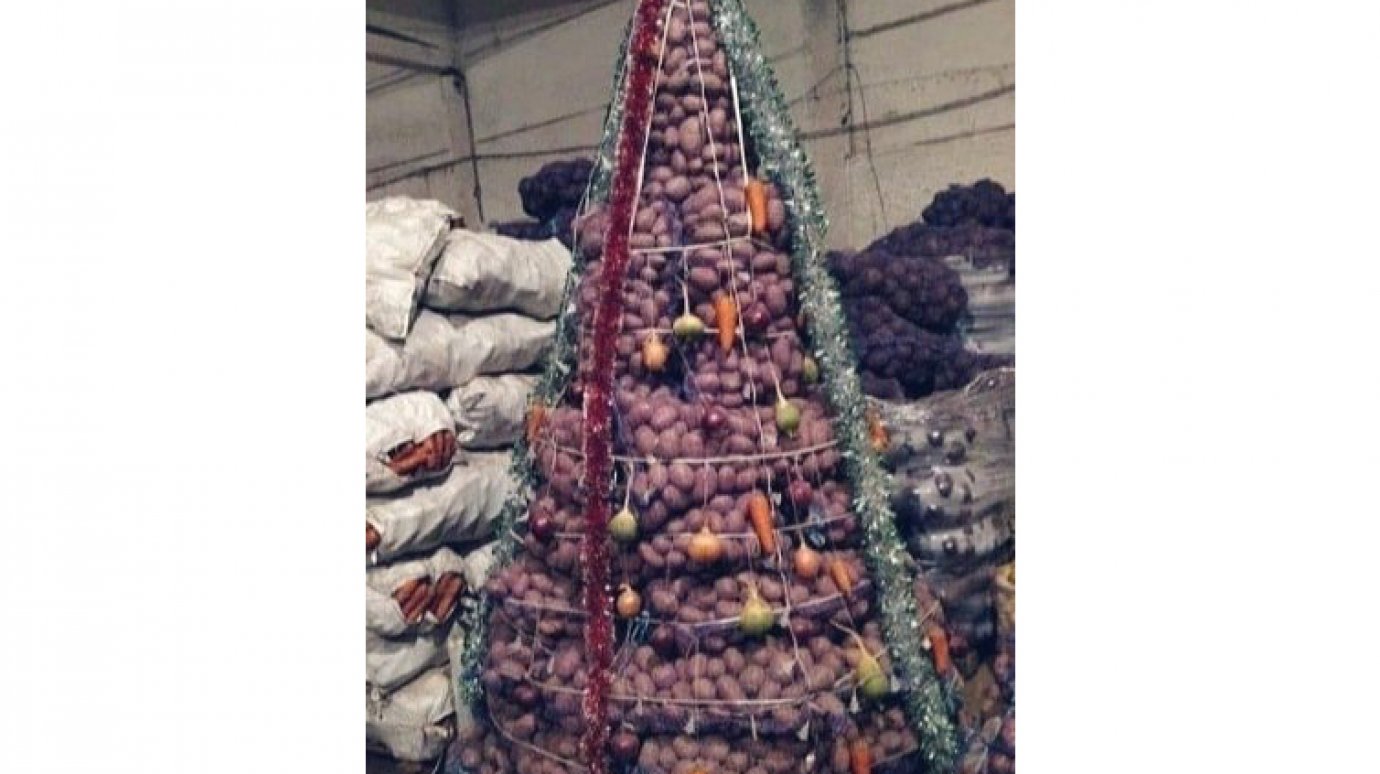 А какая у вас: пензенец поделился фото новогодней елки из овощей