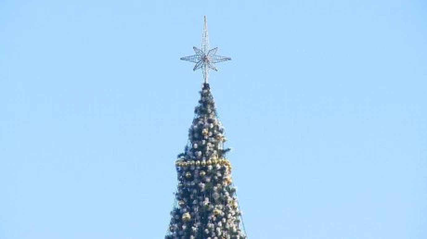 Управление культуры огласило режим работы главной новогодней елки