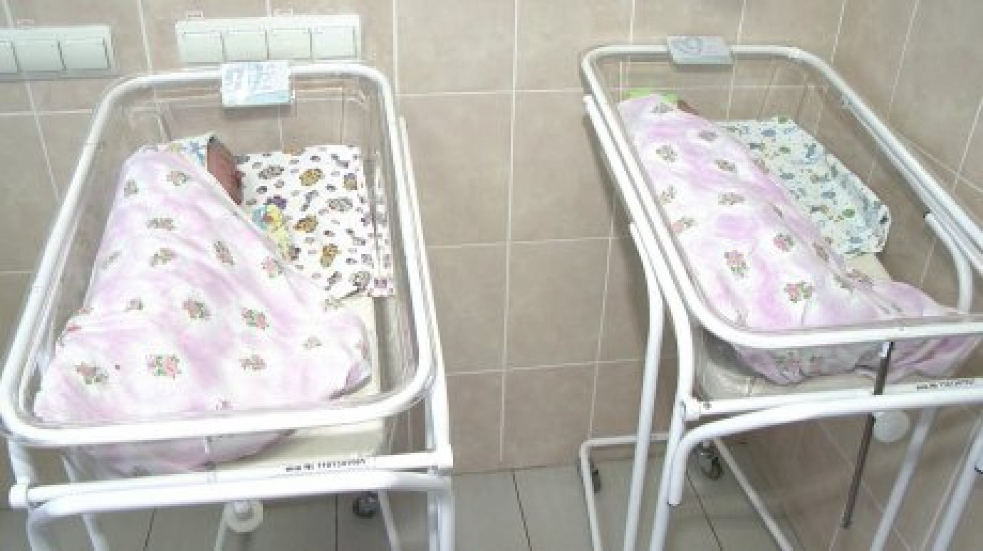 В Кузнецке с начала года родилось четверо малышей