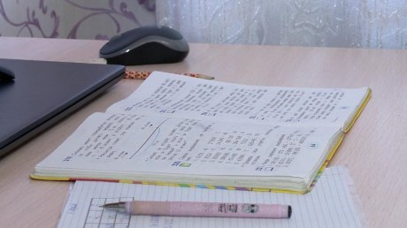 Из-за непогоды в Кузнецке в школах ввели дистанционное обучение