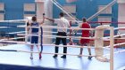 В «Воейкове» стартовало первенство Пензенской области по боксу