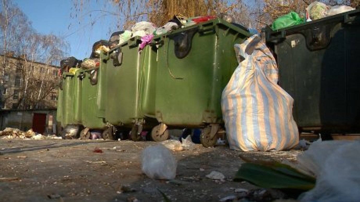 В Пензе мусорные площадки хотят взять под видеонаблюдение