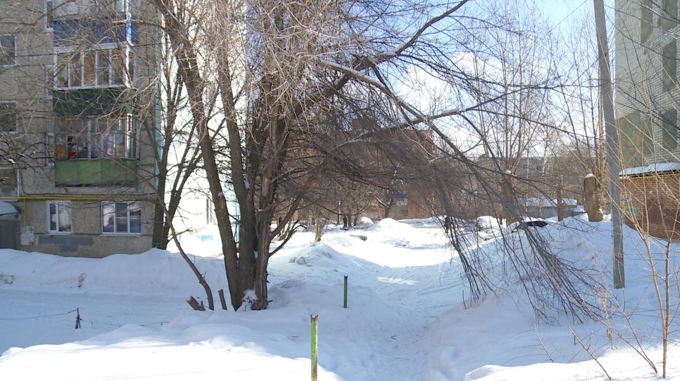 На Ульяновской отломившаяся ветка перегородила проход к дому