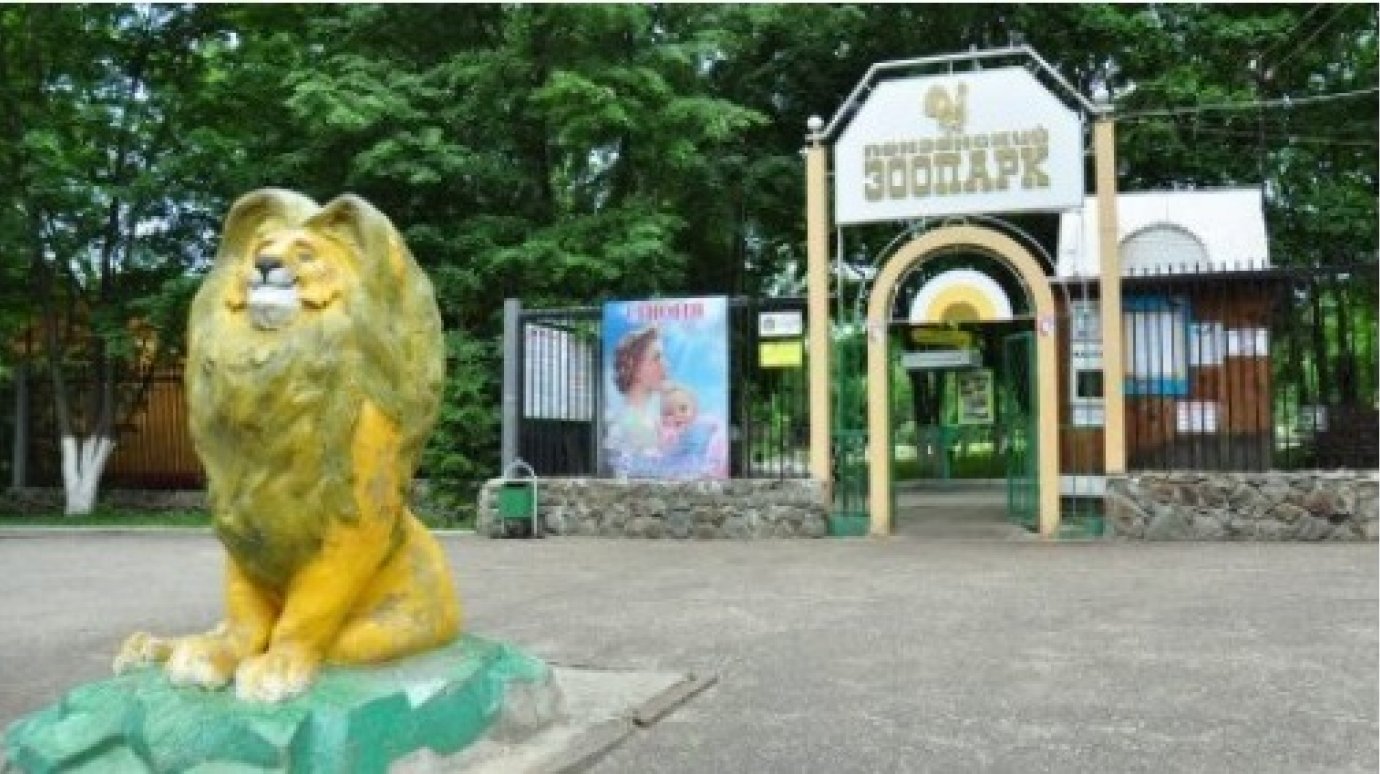 В Пензе депутата возмутила отмена льготы на посещение зоопарка