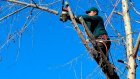 В Заречном на пять дней перекроют движение по улице Братской