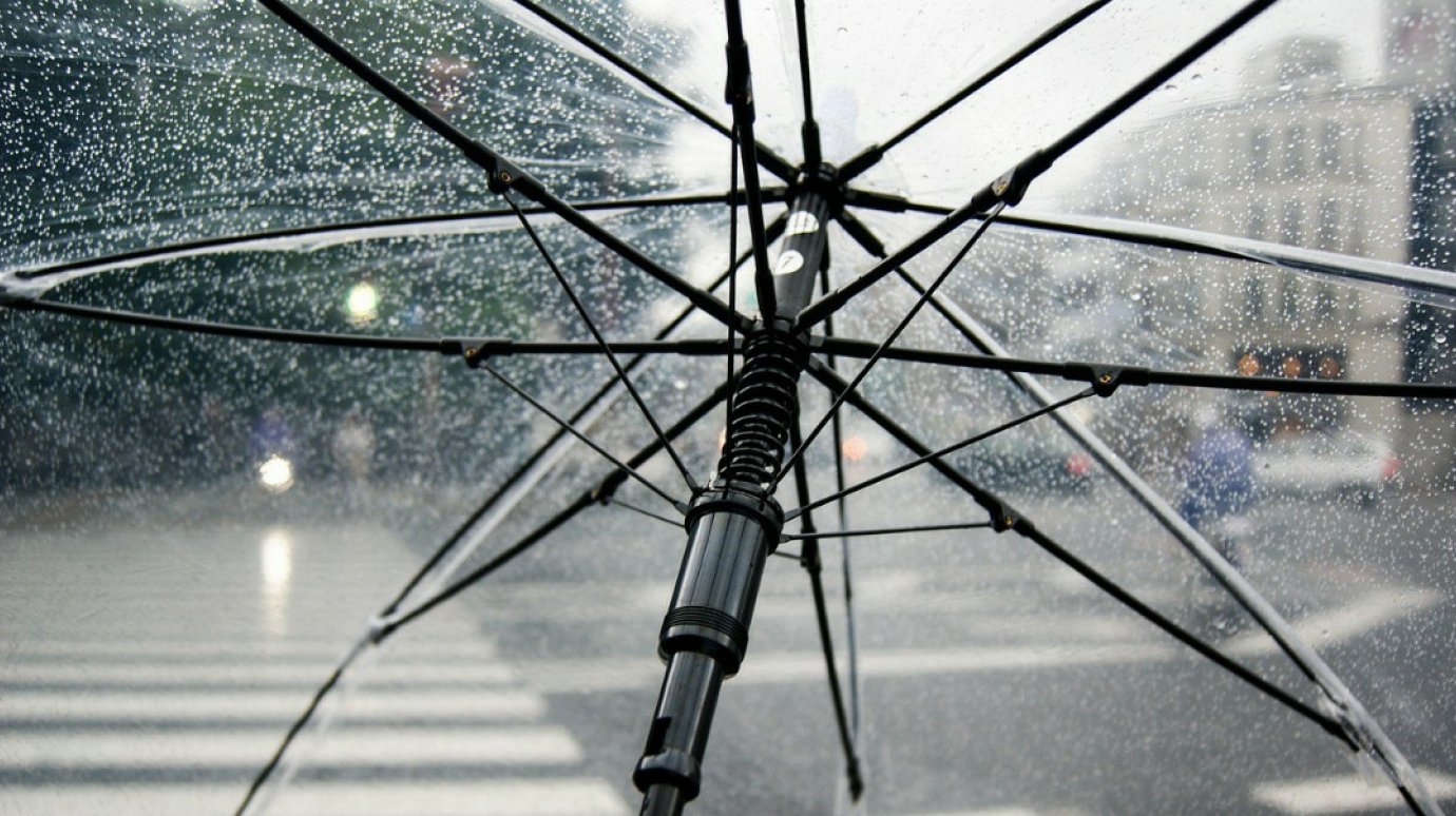 Сильный ветер и дождь: пензенцев предупредили об ухудшении погоды