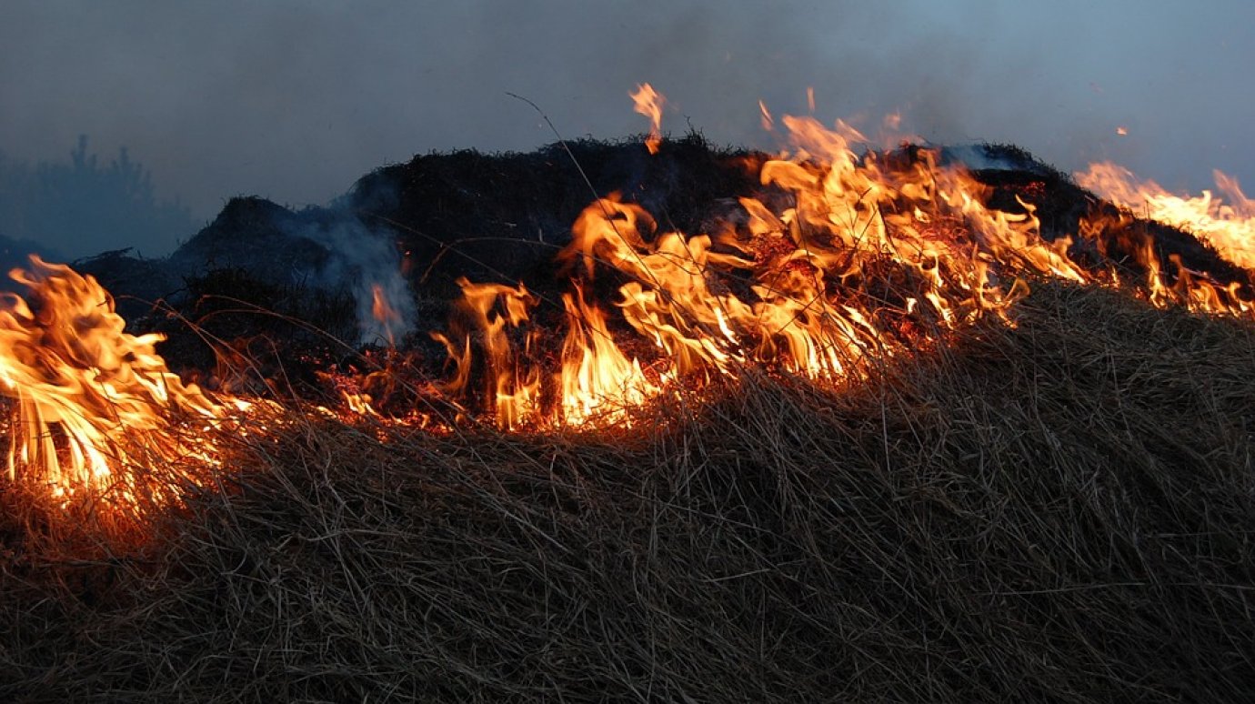 63-летний житель Вадинского района решил сжечь мусор и погиб в огне