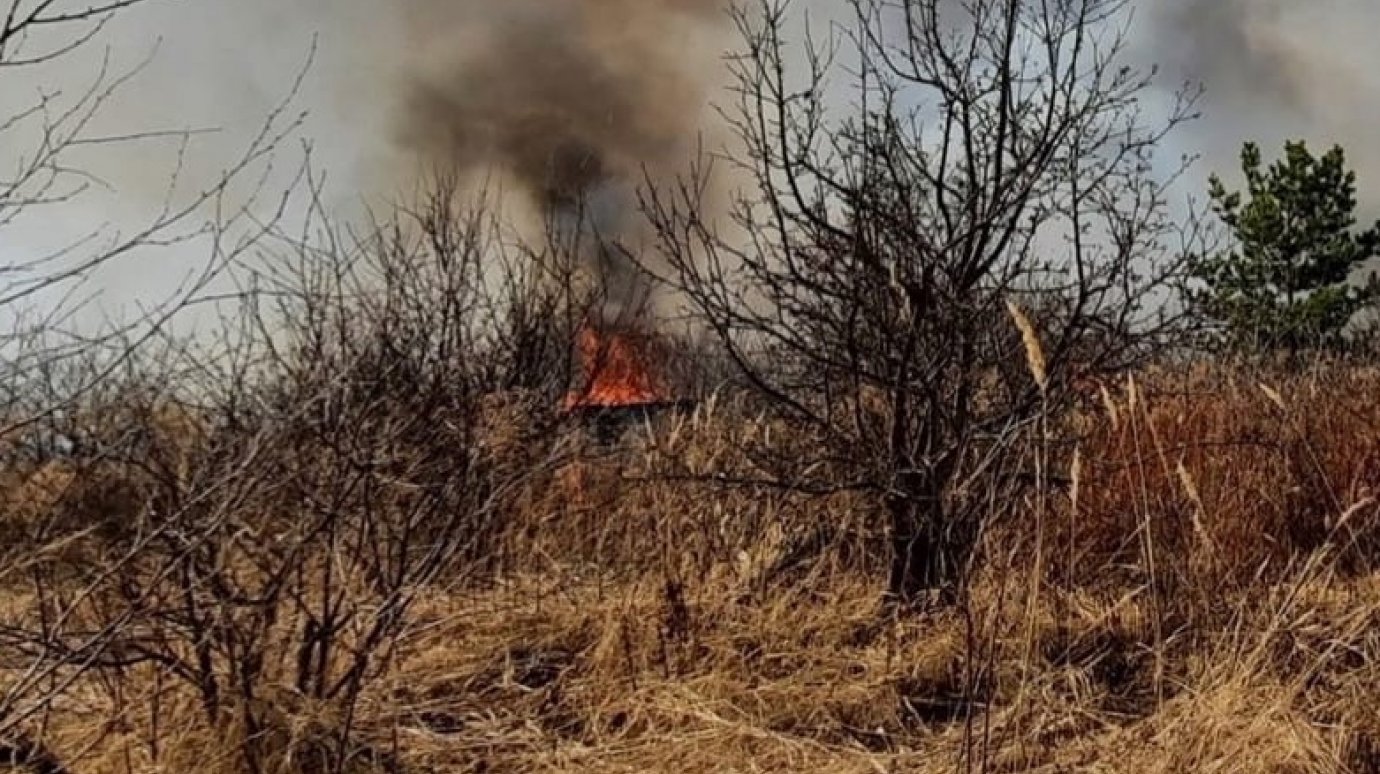 Пожар в Васильевке  тушат более 70 человек, дачников эвакуировали