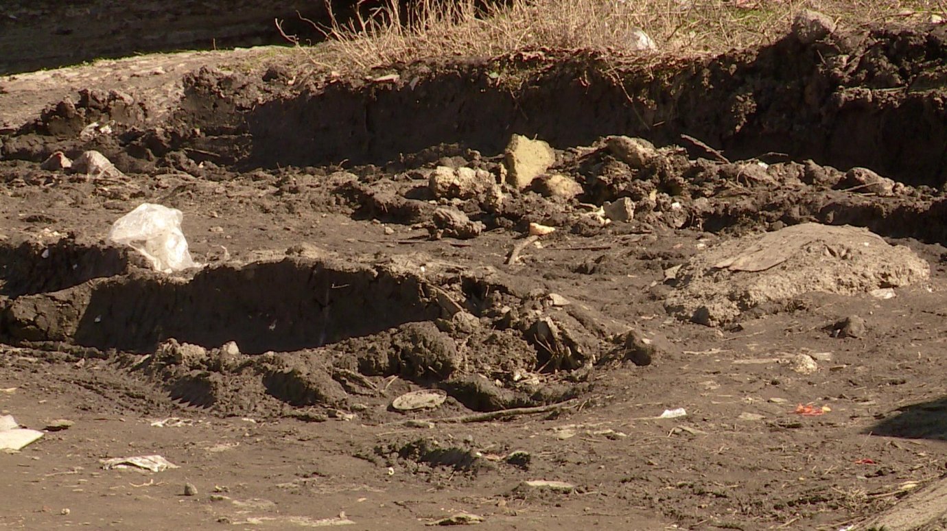 На улице Ладожской желающие выбросить мусор утопают в грязи