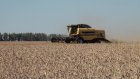 О кукурузе, комбайнах и свекле: В Пензенской области полным ходом идет посевная кампания