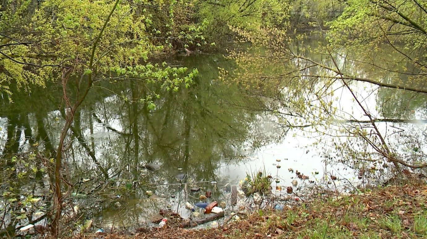 Жители 3-го Фестивального проезда поневоле загрязняют реку