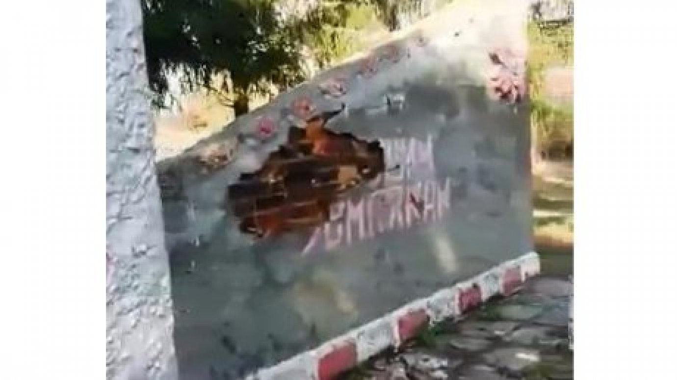 В Пачелмском районе решили судьбу разрушающегося мемориала