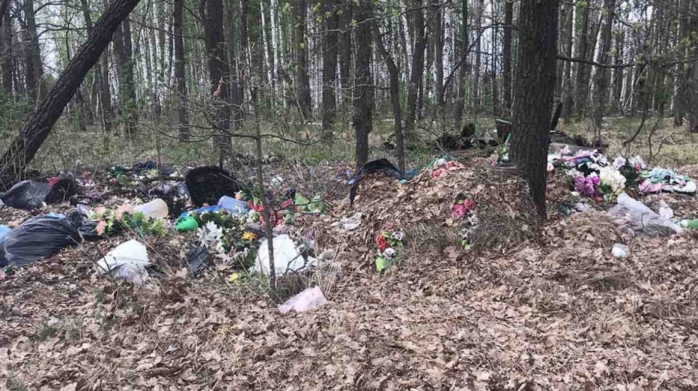 Жительницу области возмутил мусор на кладбище в Кузнецком районе