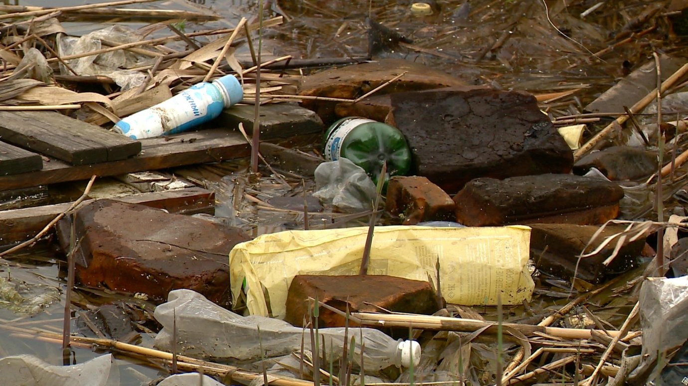 Берега водоема в Арбекове пострадали от непорядочных пензенцев