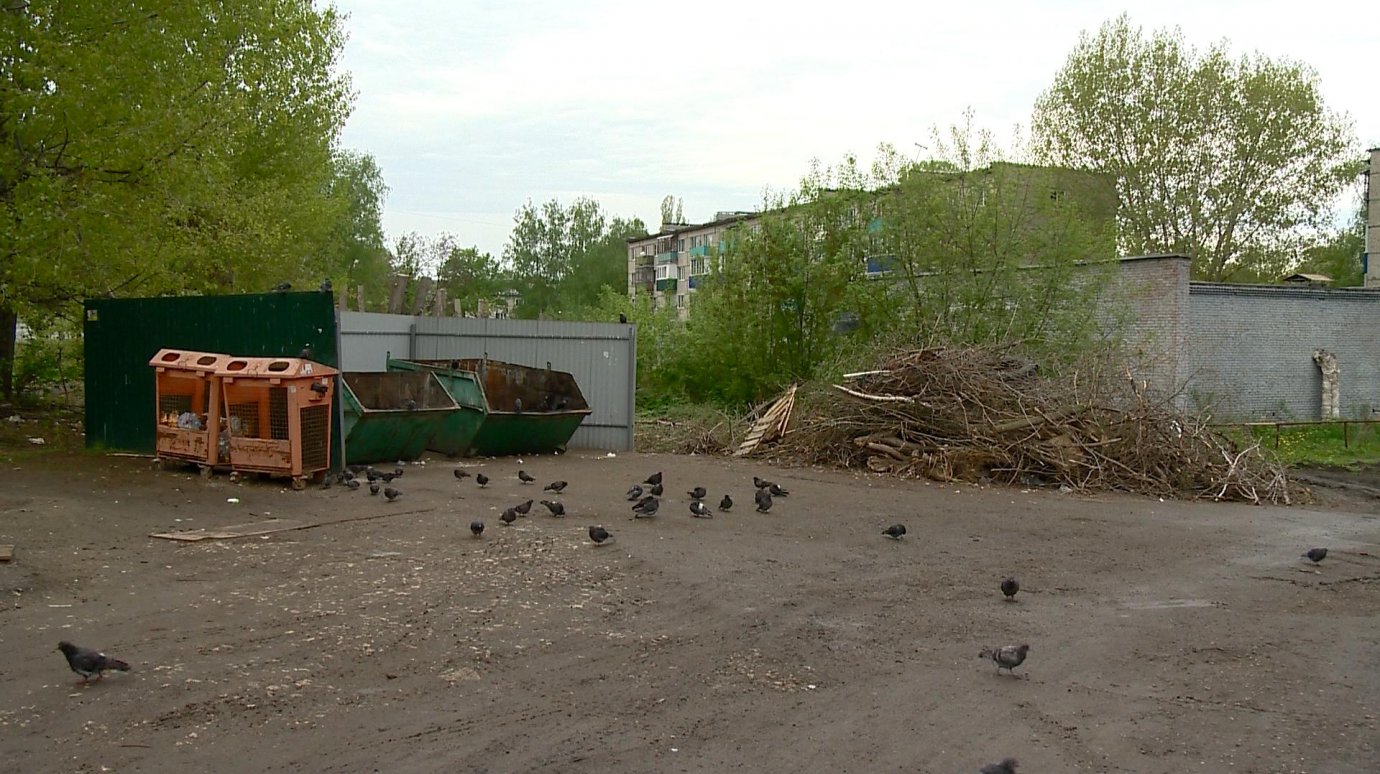 Мусорная площадка на Ульяновской стала приучать к беспорядку