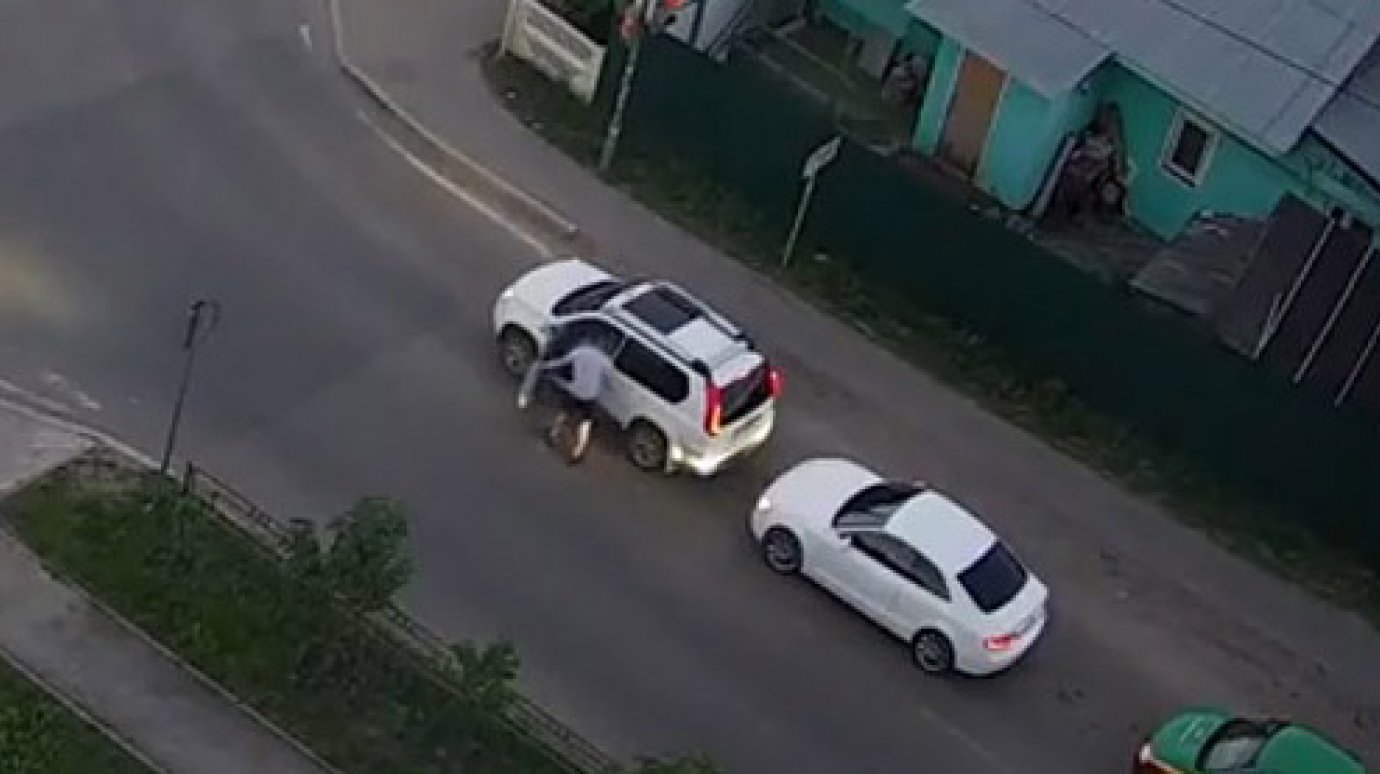 В Терновке водитель  с газовым баллончиком устроил разборки на дороге