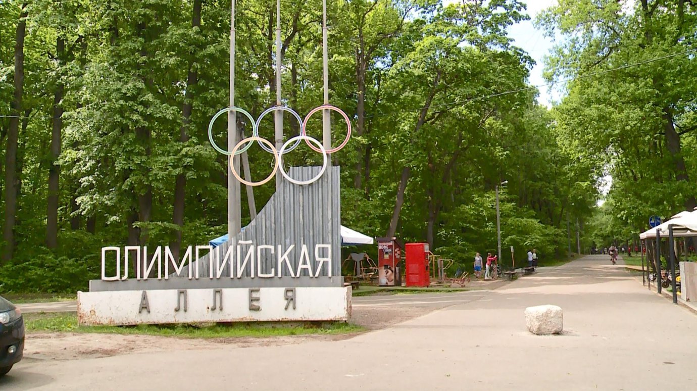 Обработка Олимпийской аллеи от клещей обойдется в миллион рублей