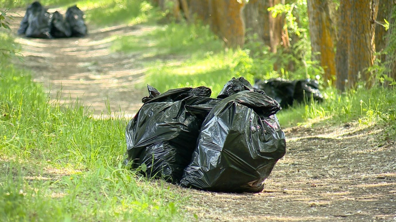 С берегов пруда в Арбекове собрали десятки мешков с мусором