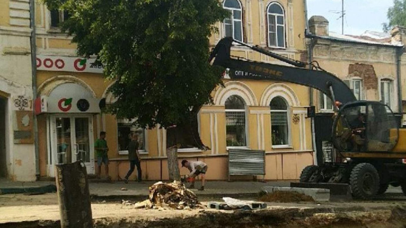 Уничтожение деревьев на Московской оценили менее чем в 5 000 руб.