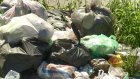 На улице Ульяновской неизвестные выкинули мусор на обочину дороги