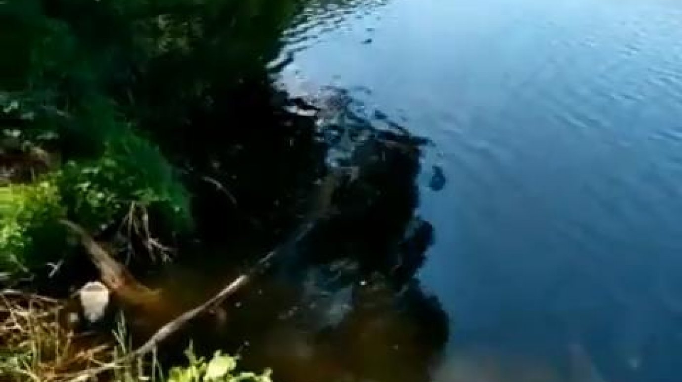 В Чемодановке расчистят ложе пруда на реке Инре