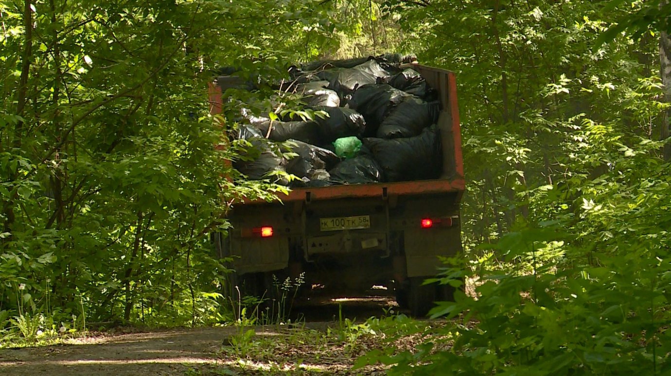 Из лесополосы у трассы М5 спустя год вывезли собранный мусор