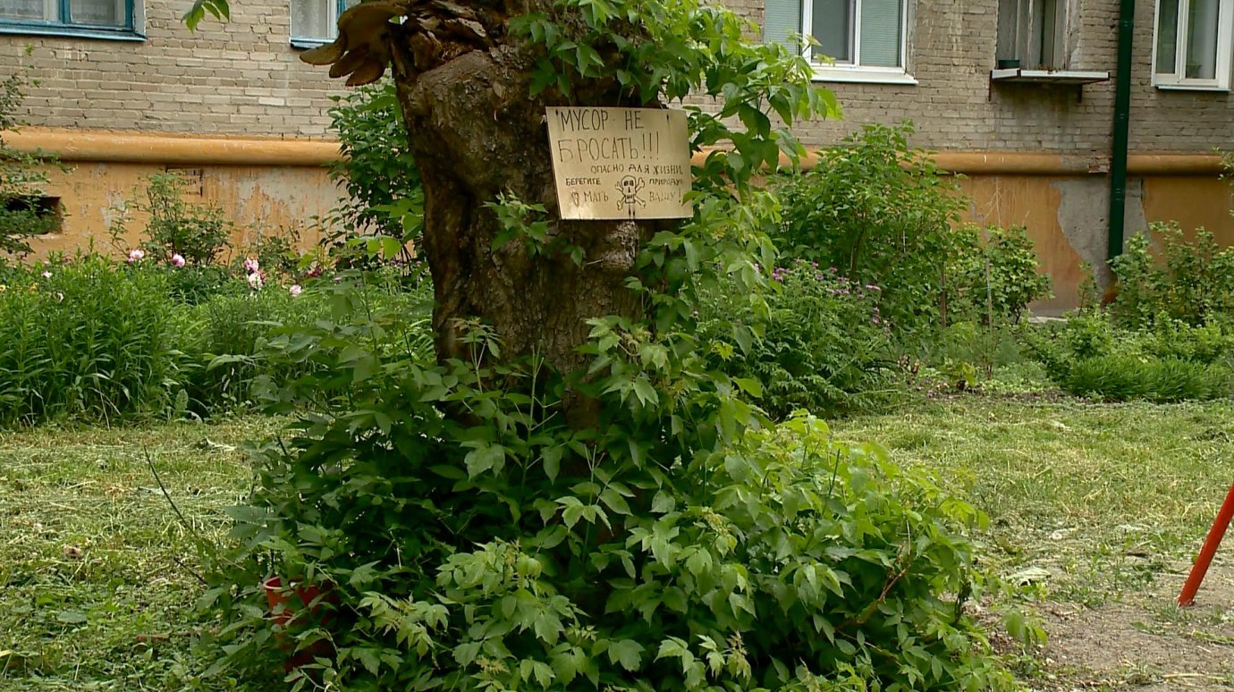 Пензенец предупредил любителей мусорить объявлением на дереве