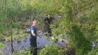 В пруду в Богословке обнаружили тело пропавшего без вести мужчины