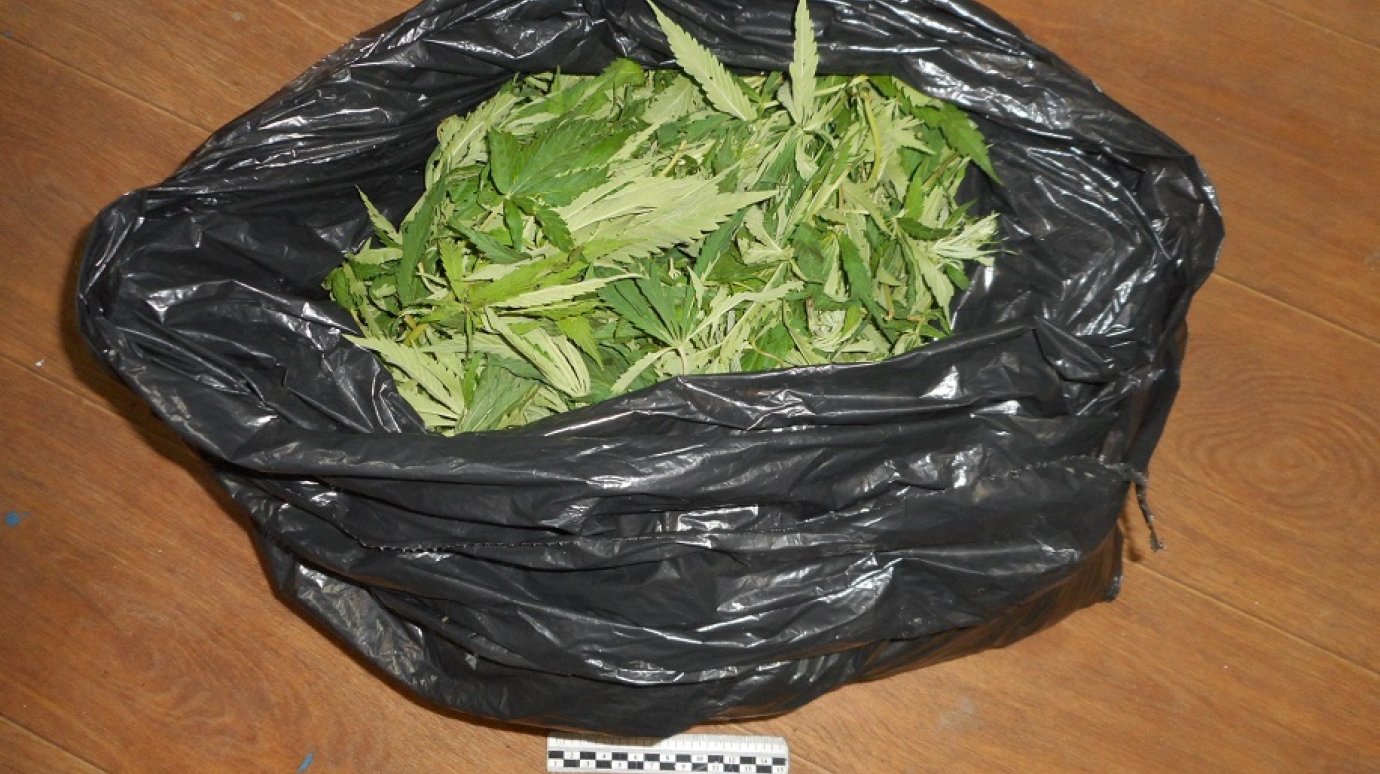 Транспортная полиция задержала пензенца с пакетом марихуаны