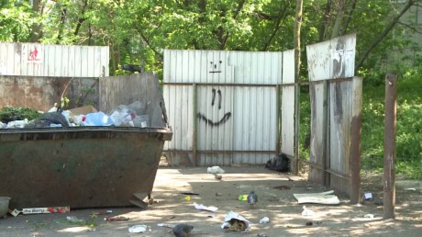 В Пензе на трех мусорных площадках установили видеокамеры