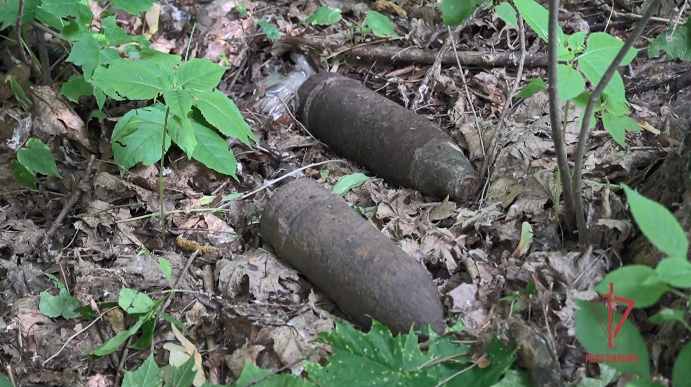 Росгвардейцы уничтожили снаряды, найденные пензенцем в кустах