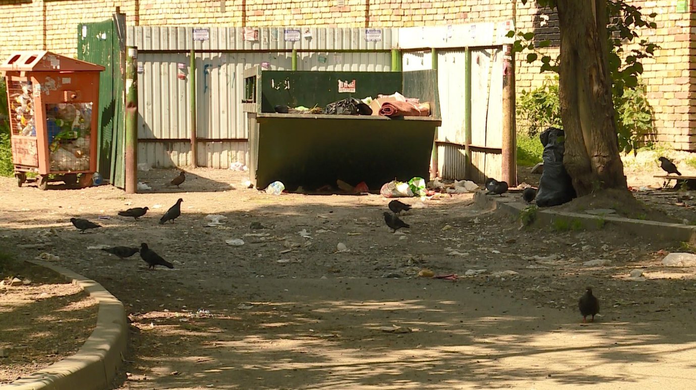 В 3-м проезде Лобачевского людям трудно подходить к мусорке