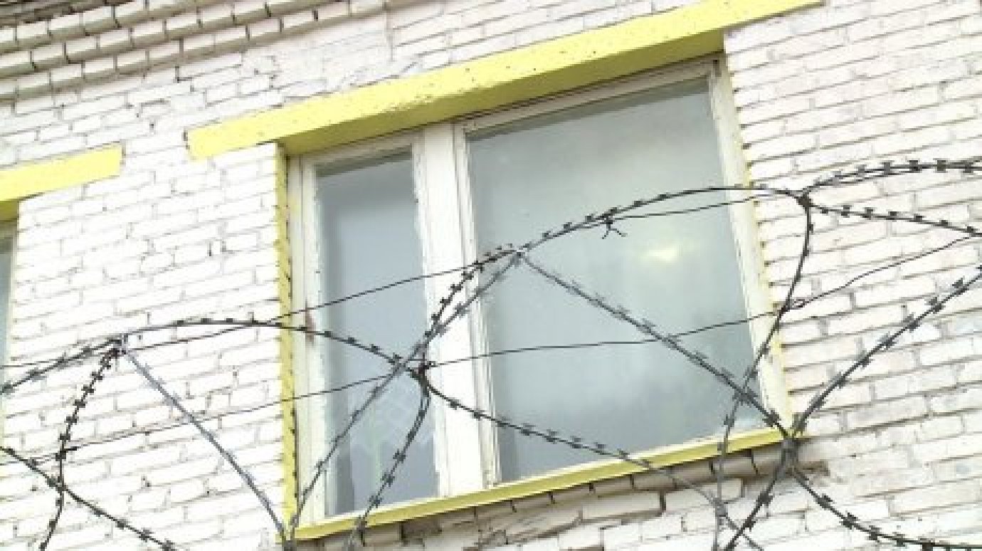 28-летний житель Башмакова осужден за кражу, ДТП и смерть деда