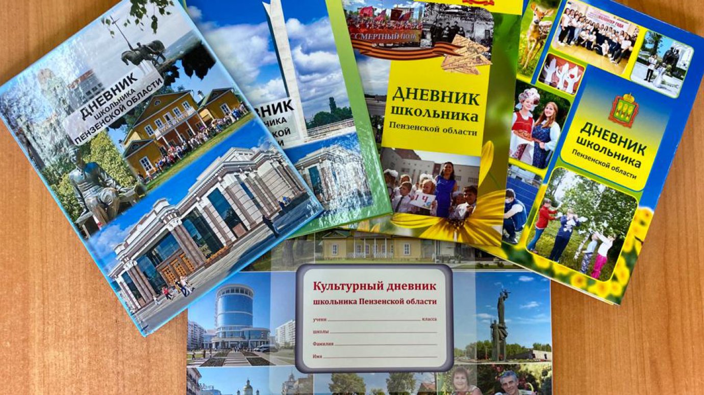 Отсутствие «Дневника школьника Пензенской области» опровергли