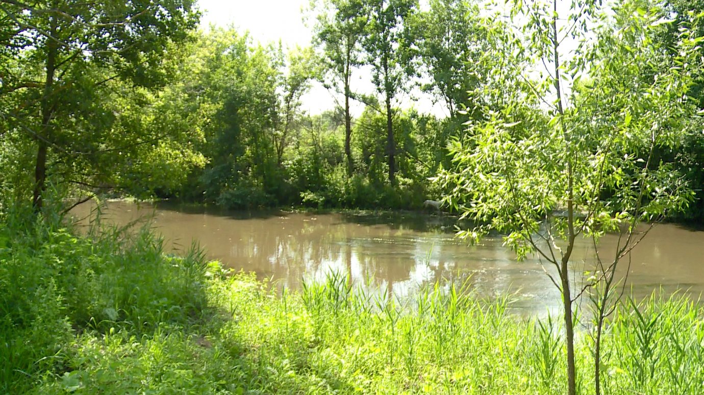 Река Пенза в поселке Мичуринском изменила цвет