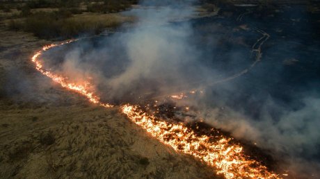 Заповедник, куда выехали пожарные из Пензы, назвали дремучим