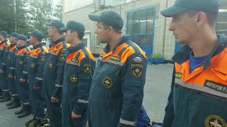 Заповедник, куда выехали пожарные из Пензы, назвали дремучим