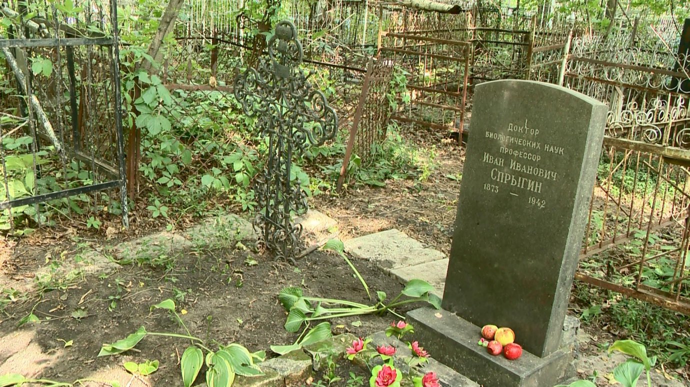 С могилы профессора И. И. Спрыгина исчезла кованая ограда