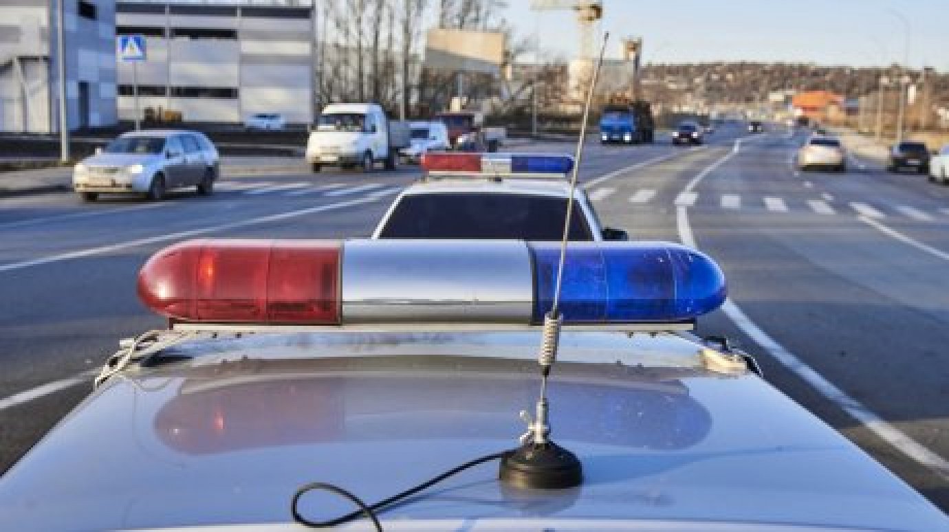 В Каменке 27-летний водитель оскорбил инспекторов ДПС