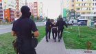 Пензенские полицейские задержали подозреваемых в автоподставах