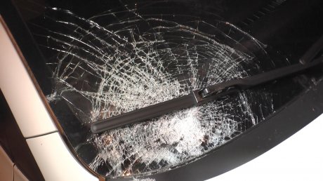 С начала года в регионе за тонировку наказали более 14 000 водителей